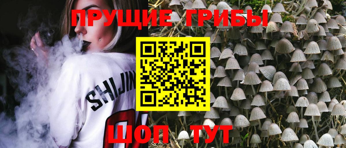 хочу   Галлюциногенные грибы ЛСД  Вход с VPN  Кисловодск 